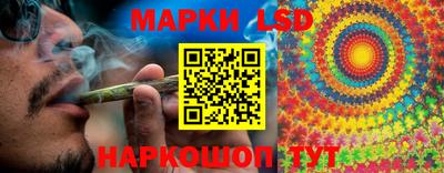 spice Изобильный