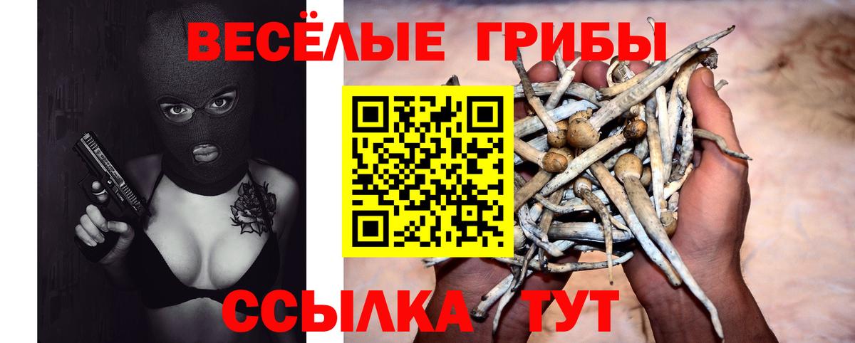 Мичуринск  Псилоцибиновые грибы мицелий  Вход с VPN 