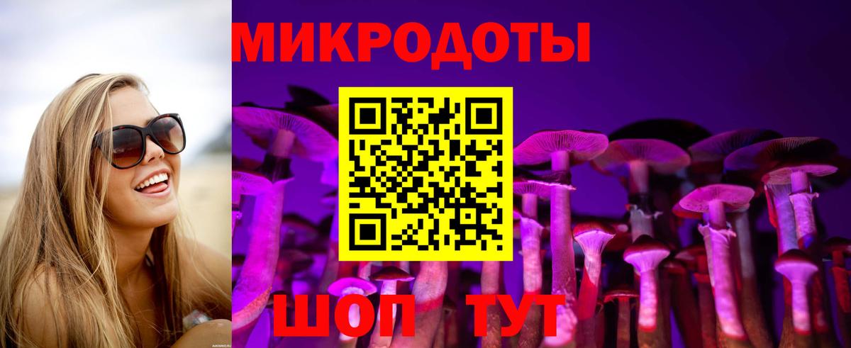 Галлюциногенные грибы Psilocybe Мичуринск